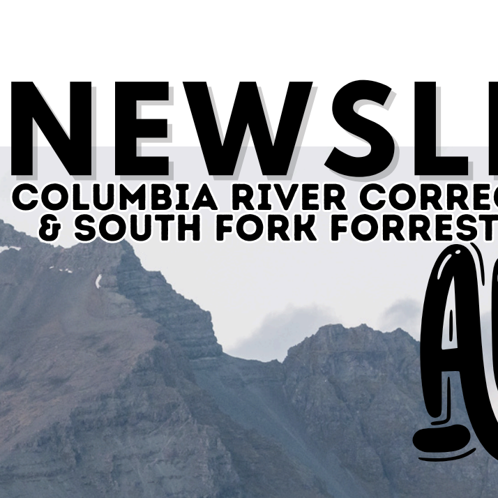 Currents newsletter cover, CRCI-SFFC